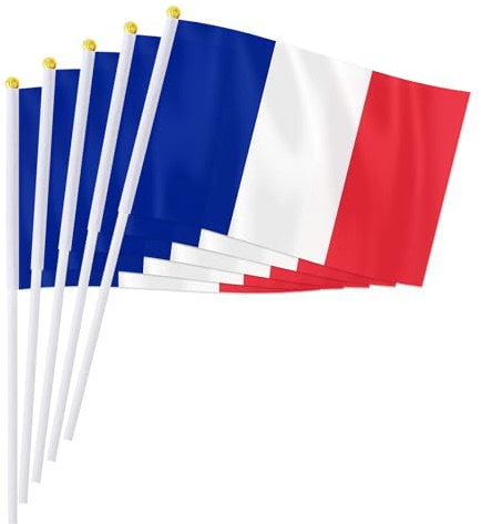 PTEROSAUR Lot de 100 drapeaux français à main, 14 x 21 cm, petits drapeaux nationaux français, pays européens du monde