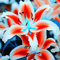 Lilienzwiebeln,Lilien knolle,Knollenpflanze,Duftendeblume,Winterhart MehrjäHrig，Bezaubernd，Lilienblume，Baumlilien Blumenzwiebeln，MehrjäHrig，Seltene Lilien-2zwiebeln