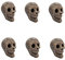 FANFX Feuerfester Totenkopf aus Keramik, feuerfest, für Feuerstelle, Kamin, Gas, Halloween-Horror-Schädel-Dekorationen (6, schwarz)