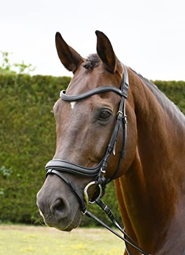 Rhinegold R175-f-negro Softee Pro-Anatomic Flash Bridle-Full-Black, Unisex, Negro, Plein