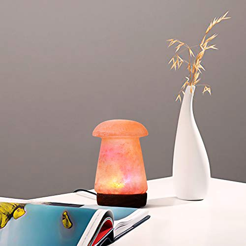 NatureBoost Lampada USB al sale rosa dell'Himalaya, multicolore, idea regalo unica (fungo)