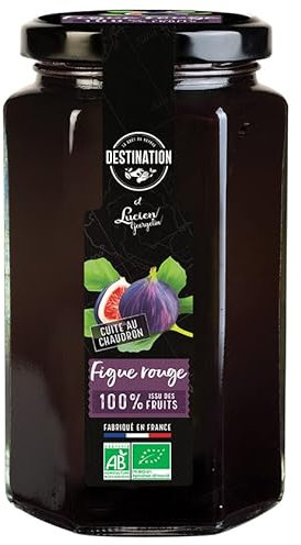 Destination - Mermelada de Higos BIO - Procedente de Cultivo Ecológico - Concentrado de Frutas - Sin Aromas Artificiales, Conservantes ni Lactosa - Ideal para Untar y Repostería - 300 g