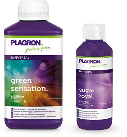 Plagron Green Sensation 250 ml und Sugar Royal 100 ml mit Aktionscode