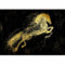 murando - Papier peint panoramique animal 300x210 cm - Revêtement mural décoration pour chambre salon - Design moderne - Vert jaune - Animaux chambre taches peinture cheval noir g-C-10111-a-b