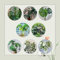 500 Pcs Monstera Deliciosa Samen - Monstera Variegata - Herbst Dekoration, Winterharte Pflanzen Für Garten Monstera Samen, Zimmerpflanzen Groß, Grünpflanzen Zimmerpflanzen Pflanzen
