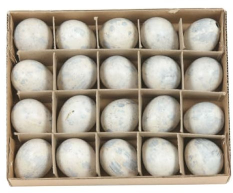 Decpero Wachteleier Weiss I 20 Stück I 3 cm I ausgeblasen entleert und gereinigt