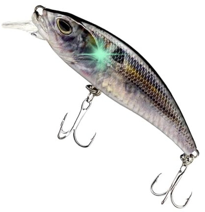 Hechtköder, Süßwasser, Roboterköder, selbstständig, wiederaufladbar, USB, elektrischer vibrierender Köder mit LED-Beleuchtung für Outdoor-Sportarten – Forelle und Barsch