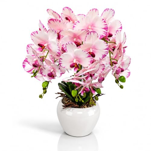 PASCH® XXL Orchideen künstlich in Hochglanz-Keramiktopf (55cm) | Kunstblumen im Topf | Kunstblumen wie echt | künstliche Orchideen im Topf | künstliche Blumen im Topf (Weiß Picotee)