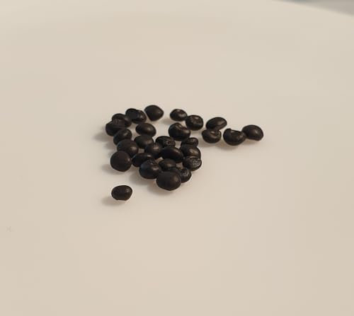 25 graines à semer - Le Grenier d'Abondance - ASPERGE d'Argenteuil hâtive - Asparagus officinalis