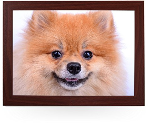 Portable Lap Desk Tray (Pomeranian Dog Close Up) Handmade Wooden Frame, Beanbag Cushioned Bottom | Computers, Laptops, Meals, Food | L0200 Brown