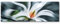 Paul Sinus Art Leinwandbilder | Bilder Leinwand 120x40cm Weiße Blume – Magnolie abstrakt