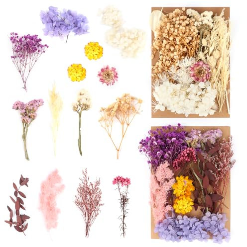MXTIMWAN 2 Borse Fiori Secchi Naturali, Fiori Secchi Decorativi, Veri, Fiori Secchi Artigianato per Resina Epossidica, Scrapbooking, Crafts, Nail Art, DIY Gioielli