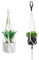 Nogeqi 2 Pack Macrame Plant Hanger, 19‘’ Boho Indoor Hanging Plant Holder Without Pot, Handmade Woven Pot Hangers for Indoor Outdoor Home Decor (Ivory, 2 Styles)