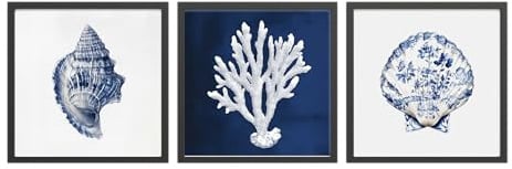 STYLER Bilder Set Sea Treasures 3x 30x30 cm (AUFHÄNGFERTIG) mit hochwertigem Rahmen – Exklusive maritime Kunst für Ihr Zuhause – Blau Weiß Natur Muschel Koralle