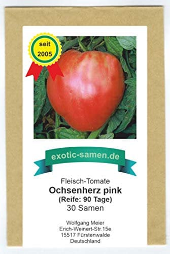 Pink-rote, süße, sehr gehaltvolle Riesen-Fleischtomate - bis 1,5 kg schwer - Ochsenherz - 30 Samen
