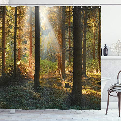 ABAKUHAUS Herbst Duschvorhang, Sonnenuntergang Dunkle Kiefer, Stoffliches Gewebe Badezimmerdekorationsset mit Haken, 175 x 200 cm, Orange Grün
