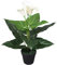 vidaXL Künstliche Calla-Lilie mit Topf 45cm Weiß Kunstpflanze Zimmerpflanze