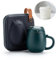 Tazas de gato con infusor y tapa, bonitas tazas de té kawaii de cerámica para remojar hojas sueltas, tetera de porcelana hecha a mano para oficina en casa, estuche portátil inastillable, 350 ml (verde