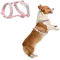 MeiAOBest Hundegeschirr mit reflektierendem Strass, kein Ziehen, verstellbar, mit D-Ring, Haustiergeschirr für kleine mittelgroße Hunde, Größe M, Rosa