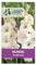 5 bulbes de fleurs Glaïeul Ivory Priscilla- ivoire pur fleur géante 100 à 150 cm