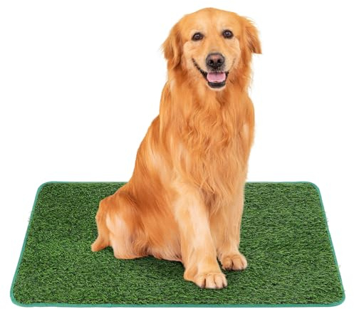 DECHOUS Tapis de Propreté en Gazon Synthétique Solide pour Chiens et Chats pour Usage Intérieur et Extérieur 46X71Cm