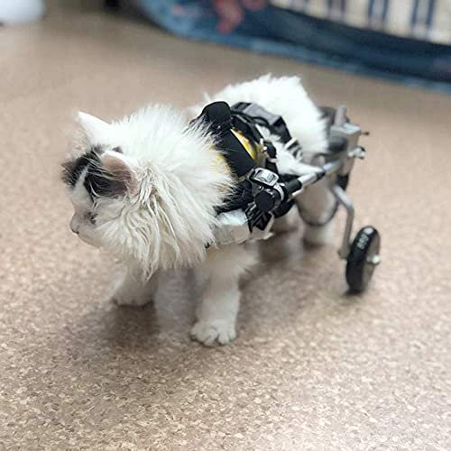 Cora Pet Einstellbar Hunderollstuhl Rollstuhl Für Hunde Katze Hase, Hinterbein/Hintere Füße, Rollwagen Gehhilfe Hundegehilfe Hunderollwagen, Geeignet Für Behinderte Hunde Mit 0~1.5Kg