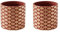 Set di 2 vasi moderni in cemento da 14 cm, con foro di drenaggio, grande calibro, oro, per piante grasse, interni ed esterni, per casa, giardino, patio e ufficio