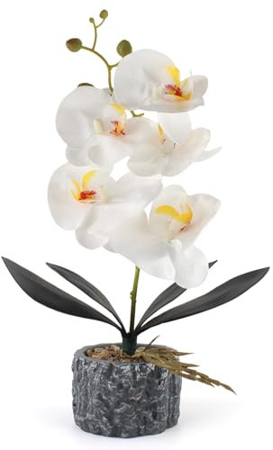 ginojex Künstliche Orchidee, lebensechte Kunstpflanze mit Zementvase, lebendige Heimdekoration, für den Innenbereich, Hochzeit, Tischaufsätze (weiß, hoch, 38,1 cm)