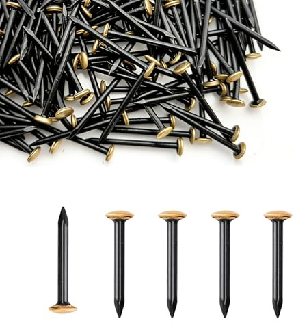 GoldOars 200 Stück Stahlnägel 20mm Bilder Nägel Beton mit Box Nägels für Betonwände Ziegelstein Putz & Holz Rostfreie Stahlnägel Ohne Bohren