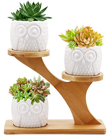 Gearific Pots de fleurs en céramique avec plateau en bambou, petits pots de fleurs en forme de cactus pour la maison, le bureau, le rebord de fenêtre, décoration (chouette)