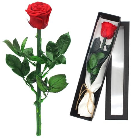 Wondora Infinity Rose Ewige Rose für Freundin Echte Konservierte Rosenbox, 3 Jahre Haltbar Haltbare Blume mit Ewigkeitsgarantie, Geschenk für Jeden Anlass(A)