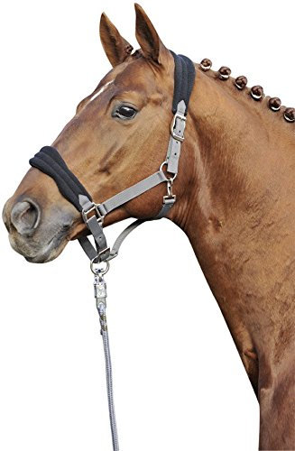 HKM 35739500 Halfter -Native, S, grau