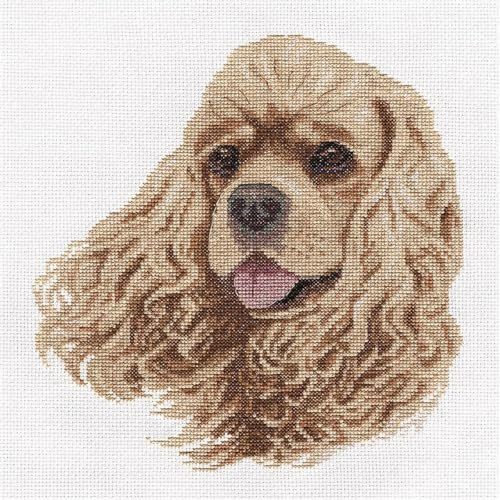 PANNA J-1785 Cross Stitch Kit, Multi-Colour, 22 x 23 cm