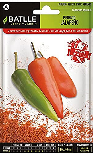 Semillas Batlle Pimiento JALAPEÑO