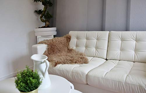 Hollert Lammfell Tibet Sheepskin Monglolisches Schaffell gelockt sehr weich Echtfell Dekoration Läufer Teppich Größe 100-110, Farbe Cappuccino
