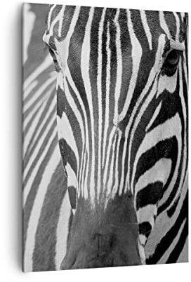 Bilder auf Leinwand 70x100cm Leinwandbild mit Rahmen Tiere Zebra gestreift Groß Wanddeko Bild Schlafzimmer Küche Deko Wandbilder Dekoration Wohnzimmer Wall Canvas Wand Kunstdruck Art PA70x100-2254