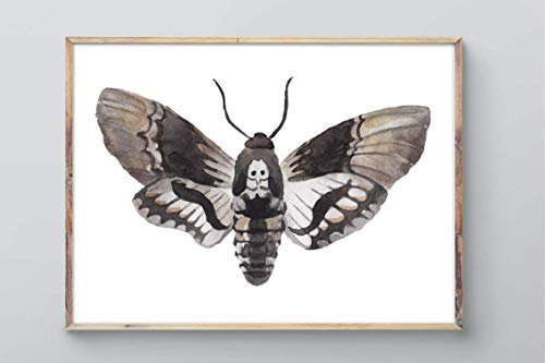 Din A4 Kunstdruck ungerahmt - Motte Totenkopfschwärmer Schmetterling Falter Aquarell Deko, Geschenk Druck Poster Bild
