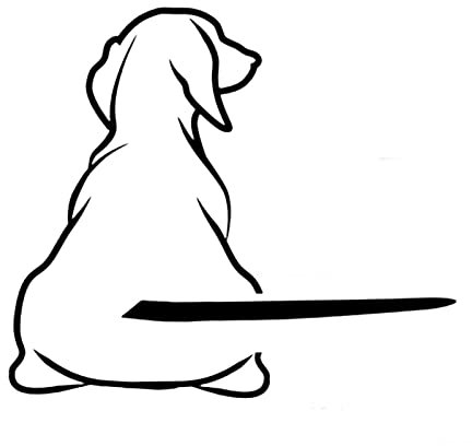 PLGEBR Coda mobile divertente per cani, Tergicristallo per auto, Tergicristallo adesivo per tergicristallo posteriore, Interessante tergicristallo per cani, Decalcomanie per auto Parabrezza posteriore