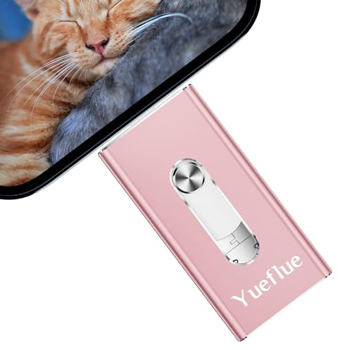 sans APP Yueflue 256 Go Cle USB lPhone/lPad/Android/PC/Tablette