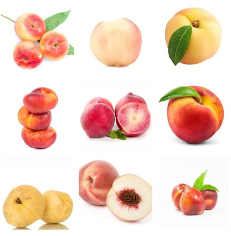 2 Pcs Pfirsichbaum Samen, Pfirsich Samen, Gartenpflanzen Winterhart Baum, Obstbäume, Prunus Persica, Steingartenpflanzen Winterhart, Obstsamen Frisches Obst Hochbeet Samen, Bonsai