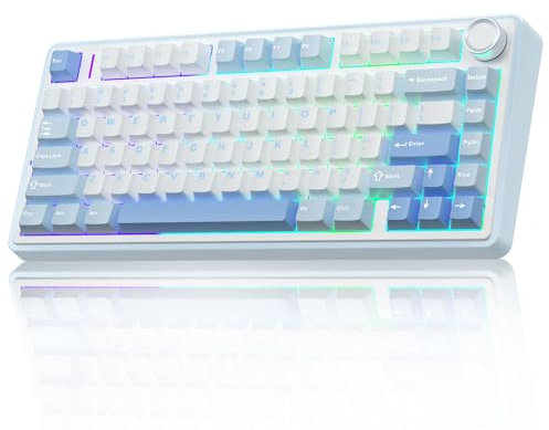 AULA F75 75% Wireless Mechanical Keyboard,2.4Ghz/Type-C/BT5.0 Gaming Keyboards,Advanced Structure,RGB Backlight,Hot Swappable Custom Keyboard for PC/Mac (Sea Salt Blue)