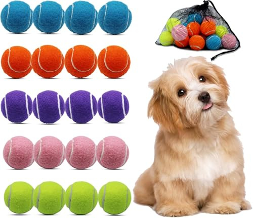 Magicorange Tennisbälle, 20 Stück, 5,1 cm, Tennisbälle für Hunde, bunt, leicht zu fangen, mit Netztasche für einfachen Transport (mehrfarbig, 5,1 cm)