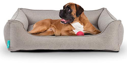 Hyggins Dreamer Plus Hundebett | Orthopädisch, Bezug abnehmbar und waschbar | Boden wasserabweisend (S 60 x 44cm, Graubeige)
