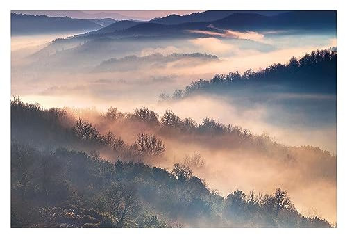 Bilderwelten Fototapete Wald 255 x 384 cm Vlies-Tapete XXL Waldtapete Nebel Sonnenuntergang Smart Wandtapete Wanddekoration Wohnzimmer Schlafzimmer