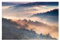 Bilderwelten Fototapete Wald 255 x 384 cm Vlies-Tapete XXL Waldtapete Nebel Sonnenuntergang Smart Wandtapete Wanddekoration Wohnzimmer Schlafzimmer