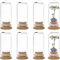 SUNNYCLUE 10 Mini Couvercles en Forme de Dôme en Verre 30x70 mm, Cloche de 35 ml, Petits Pots, Bouteilles Transparentes avec Base en Bambou, Dôme D'Affichage pour le Stock