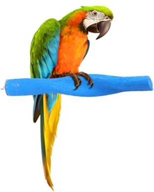 BESPORTBLE pájaros moler Soporte limas para uñas limas uñas Perchas de pájaros para cacatúas pequeño Loro Jaula de pájaros porronet Percha de pájaro Juguetes para periquitos Cola Larga a su