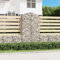 Hovothy Panier gabion avec arc haut, mur en pierre, pour mur de plantes, mur de jardin, gabion, grillage pour briques, argent, 100 x 50 x 200 cm, fer galvanisé