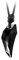 Hanessa Halsband Hals-kette Wolfs-zahn Anhänger aus Kunst-Kristall Herren Unisex schwarz