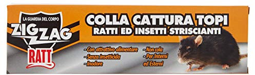 Zig Zag, Ratt Colla per topi, Topicida, Colla Ratticida con Attrattivo alimentare, Inodore, Non cola, Non velenosa, per uso Interno ed Esterno, 135 gr
